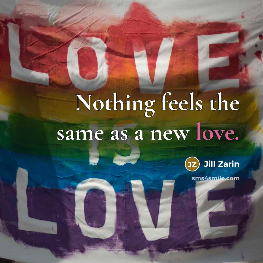 “Nothing feels the same as a new love.…” quote by Jill Zarin