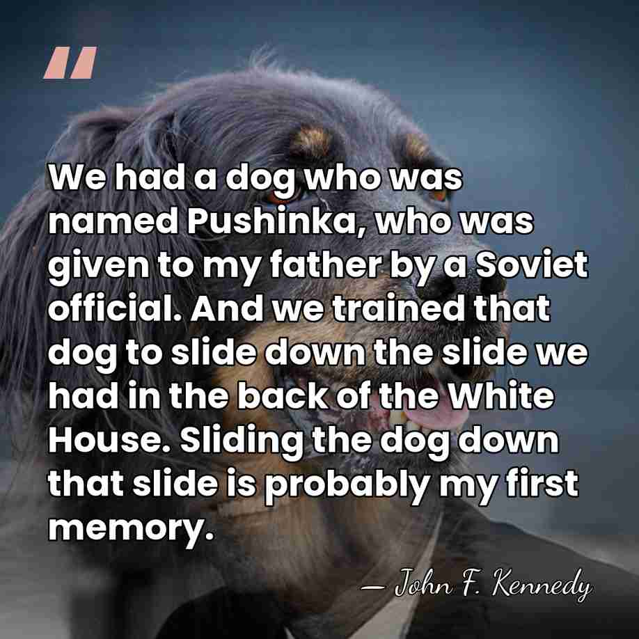 We had a dog who was named Pushinka, who was given to&hellip; - John F. Kennedy