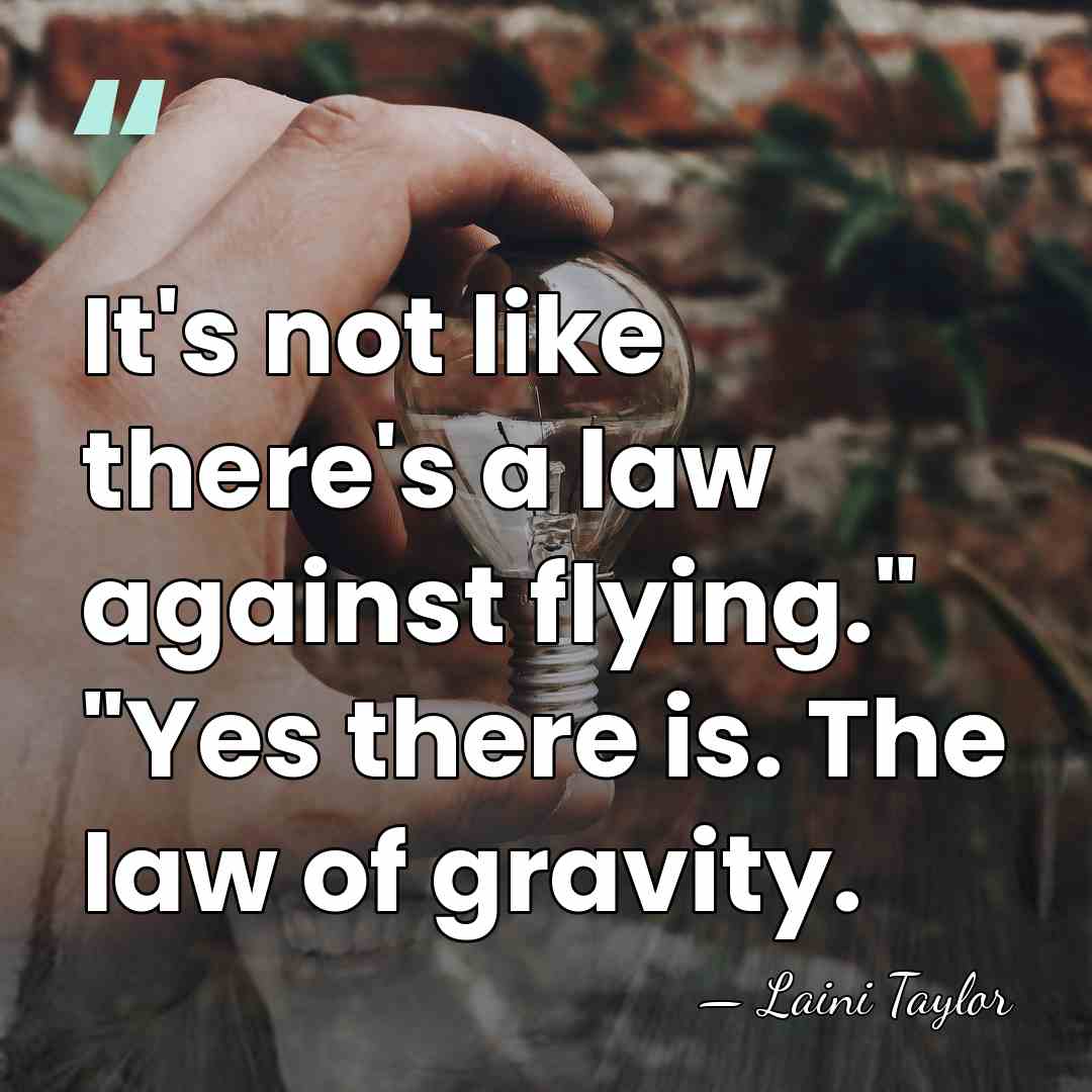 It's not like there's a law against flying." "Yes there is. The&hellip; - Laini Taylor