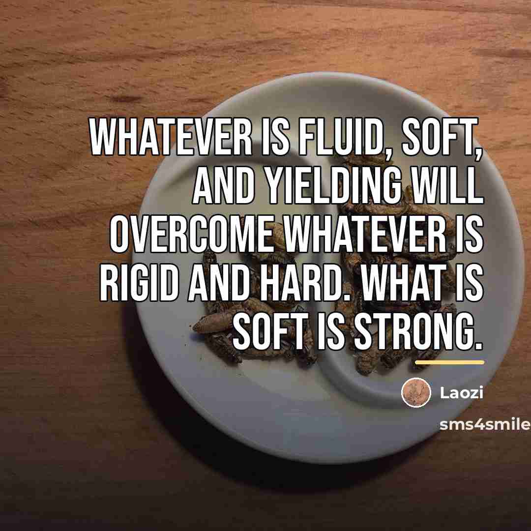 “Whatever is fluid, soft, and yielding will overcome whatever is…” quote by Laozi