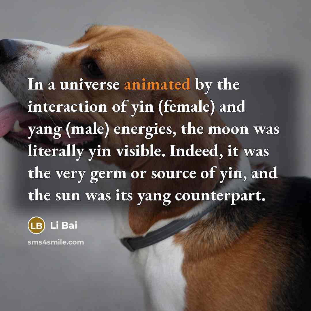 “In a universe animated by the interaction of yin (female)…” quote by Li Bai