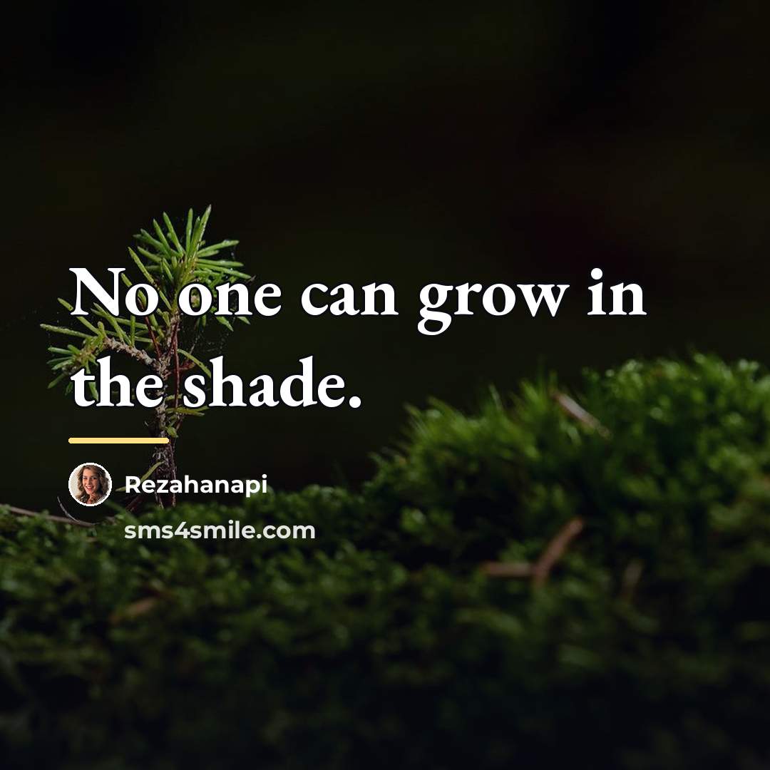 “No one can grow in the shade.…” quote by Rezahanapi