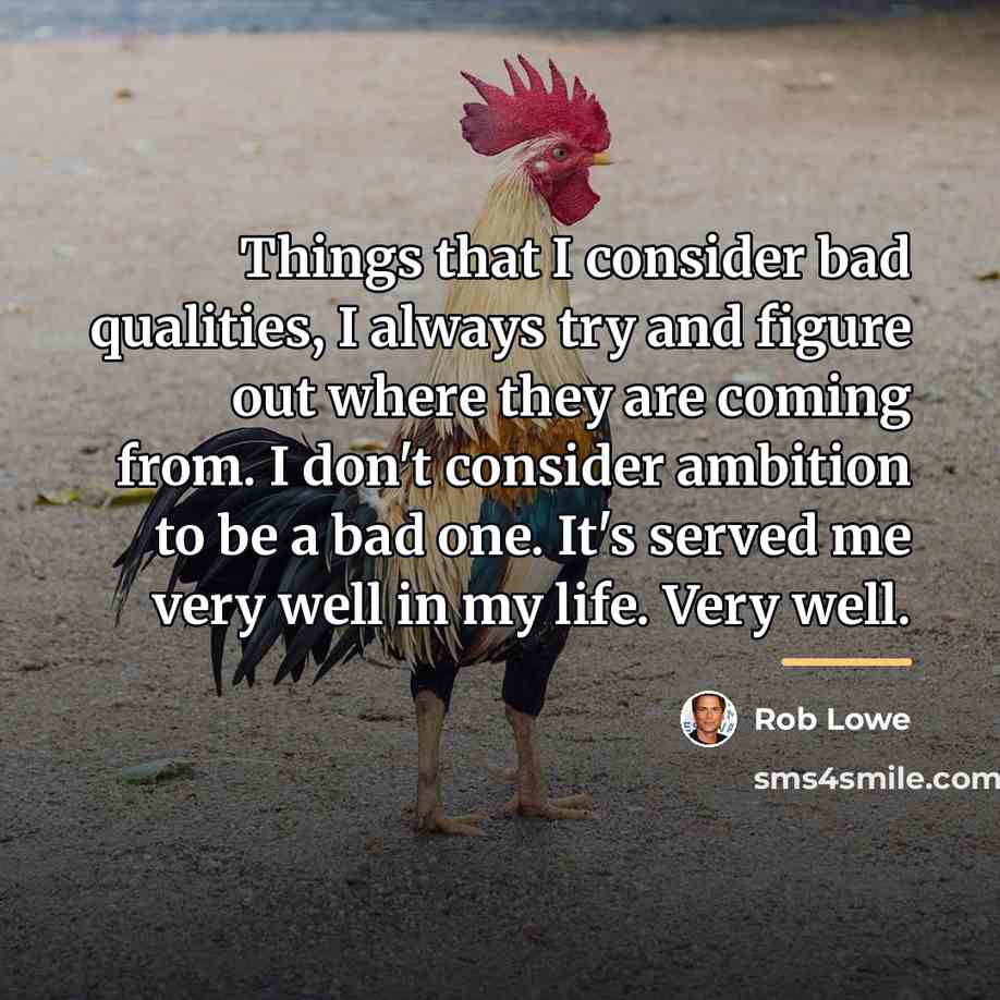 “Things that I consider bad qualities, I always try and…” quote by Rob Lowe