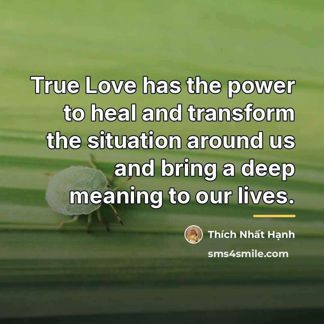 “True Love has the power to heal and transform the…” quote by Thich Nhat Hanh