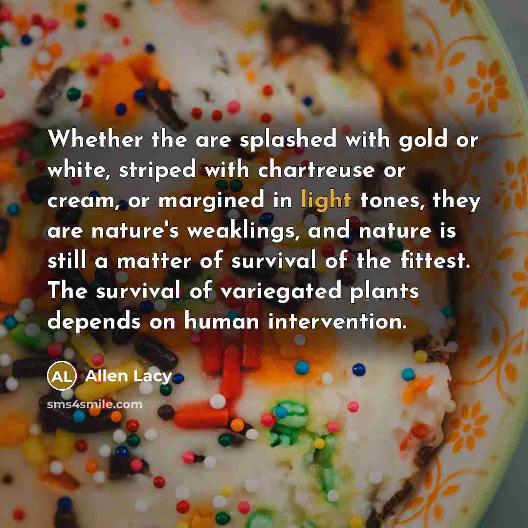 “Whether the are splashed with gold or white, striped with…” quote by Allen Lacy