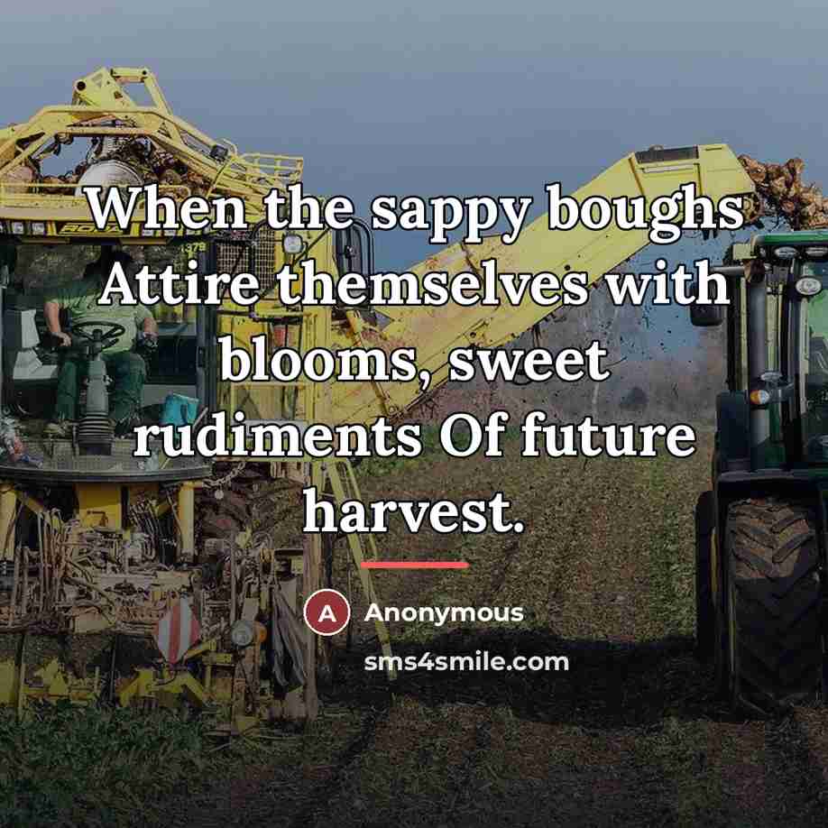 “When the sappy boughs Attire themselves with blooms, sweet rudiments…” quote by Anonymous