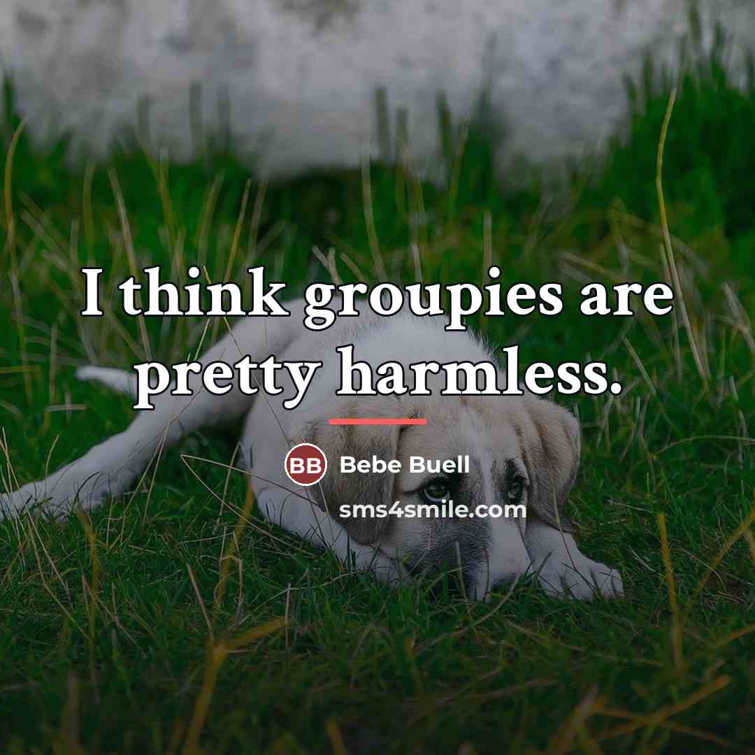 “I think groupies are pretty harmless.…” quote by Bebe Buell
