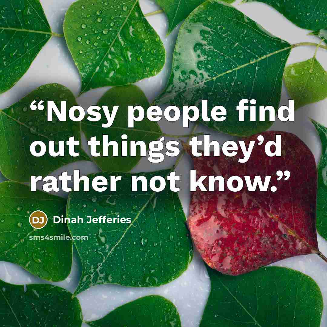 “Nosy people find out things they’d rather not know.” quote by Dinah Jefferies