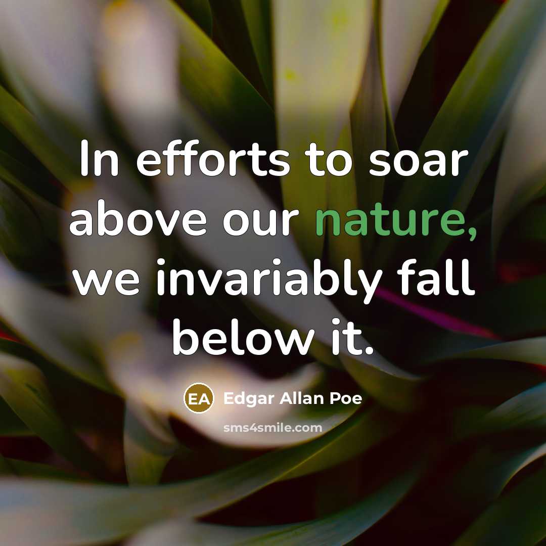 “In efforts to soar above our nature, we invariably fall…” quote by Edgar Allan Poe