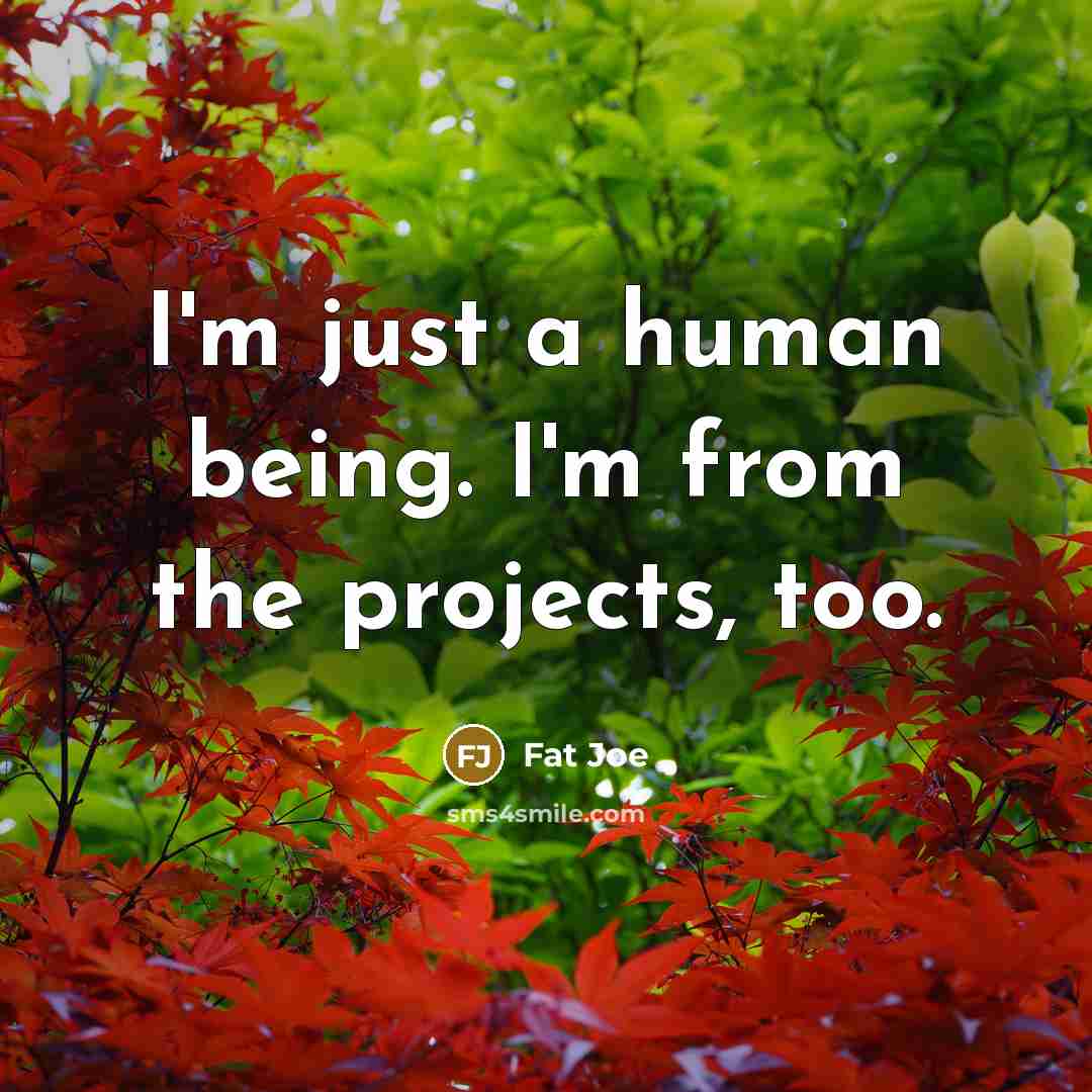 “I'm just a human being. I'm from the projects, too.…” quote by Fat Joe