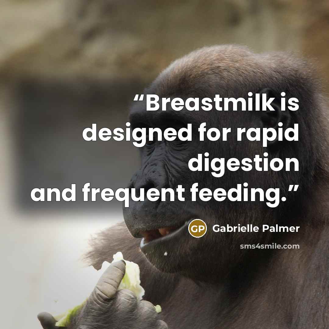 “Breastmilk is designed for rapid digestion and frequent feeding.” quote by Gabrielle Palmer