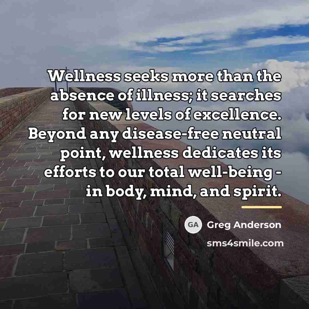 “Wellness seeks more than the absence of illness; it searches…” quote by Greg Anderson