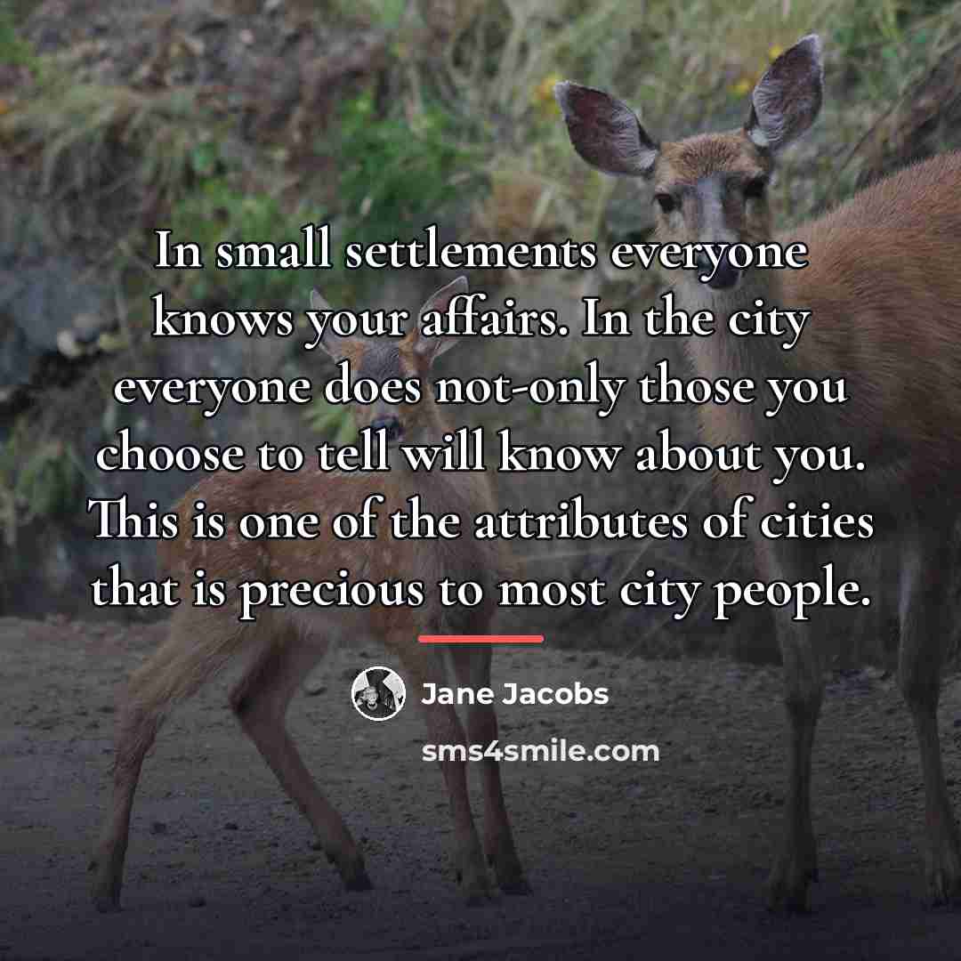 “In small settlements everyone knows your affairs. In the city…” quote by Jane Jacobs