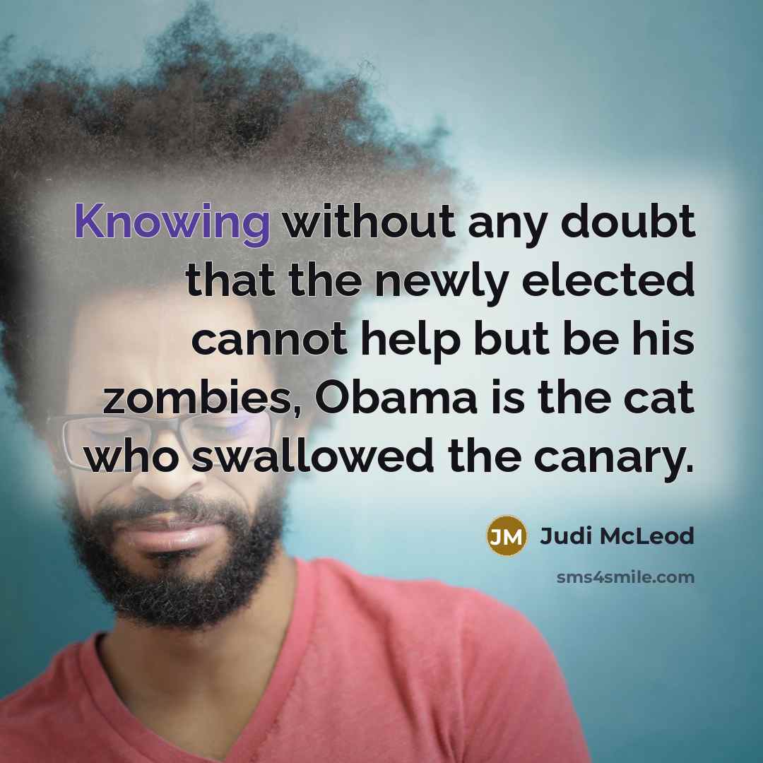 “Knowing without any doubt that the newly elected cannot help but be his zombies, Obama is the cat who swallowed the canary.” quote by Judi McLeod