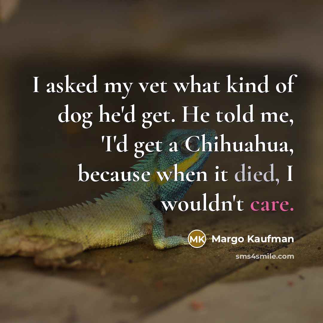 “I asked my vet what kind of dog he'd get. He told me, 'I'd get a Chihuahua, because when it died, I wouldn't care.” quote by Margo Kaufman