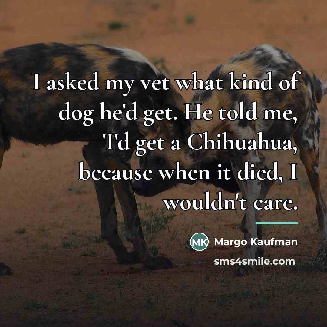 “I asked my vet what kind of dog he'd get.…” quote by Margo Kaufman