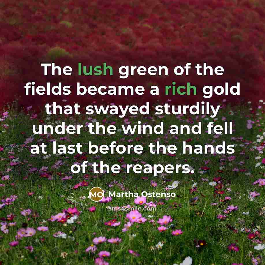 “The lush green of the fields became a rich gold…” quote by Martha Ostenso