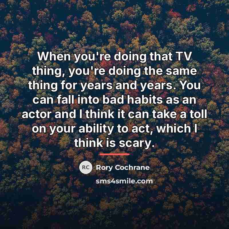 “When you're doing that TV thing, you're doing the same…” quote by Rory Cochrane