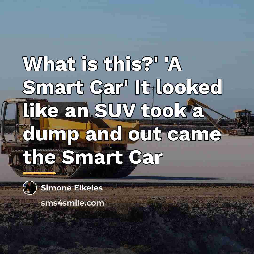 “What is this?' 'A Smart Car' It looked like an…” quote by Simone Elkeles