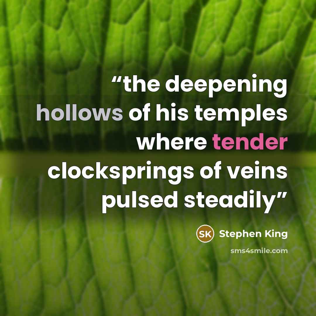 “the deepening hollows of his temples where tender clocksprings of veins pulsed steadily” quote by Stephen King