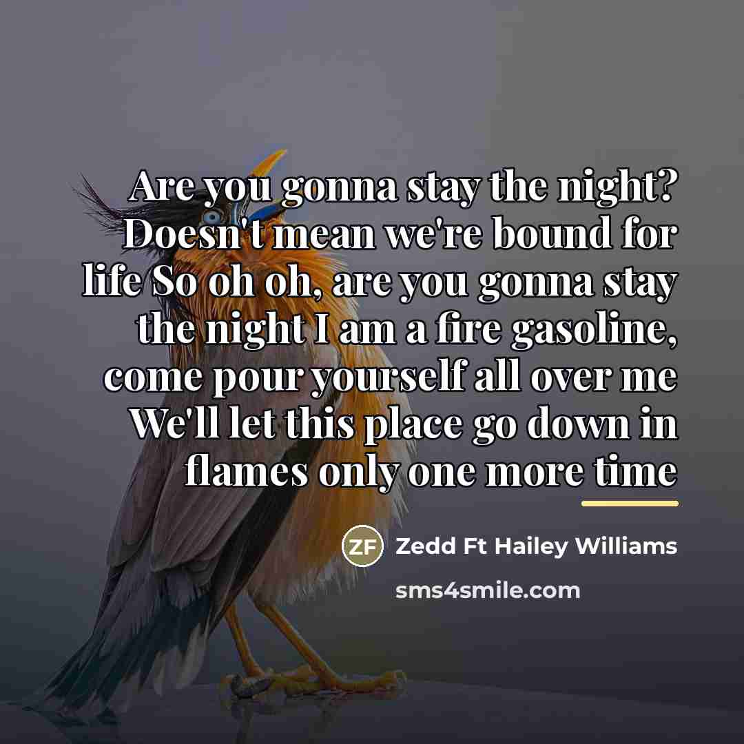 “Are you gonna stay the night? Doesn't mean we're bound…” quote by Zedd Ft Hailey Williams
