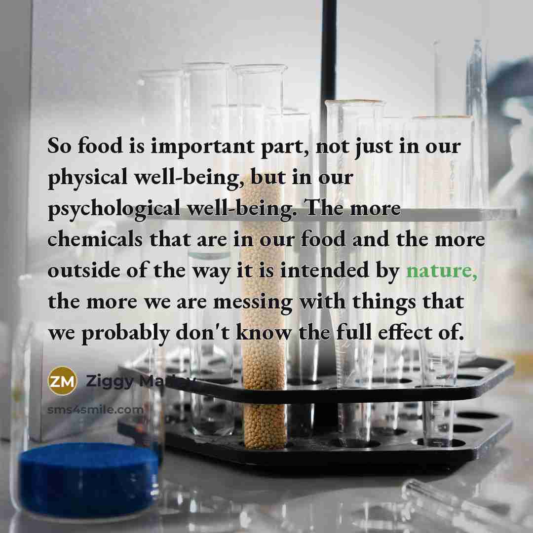 “So food is important part, not just in our physical…” quote by Ziggy Marley