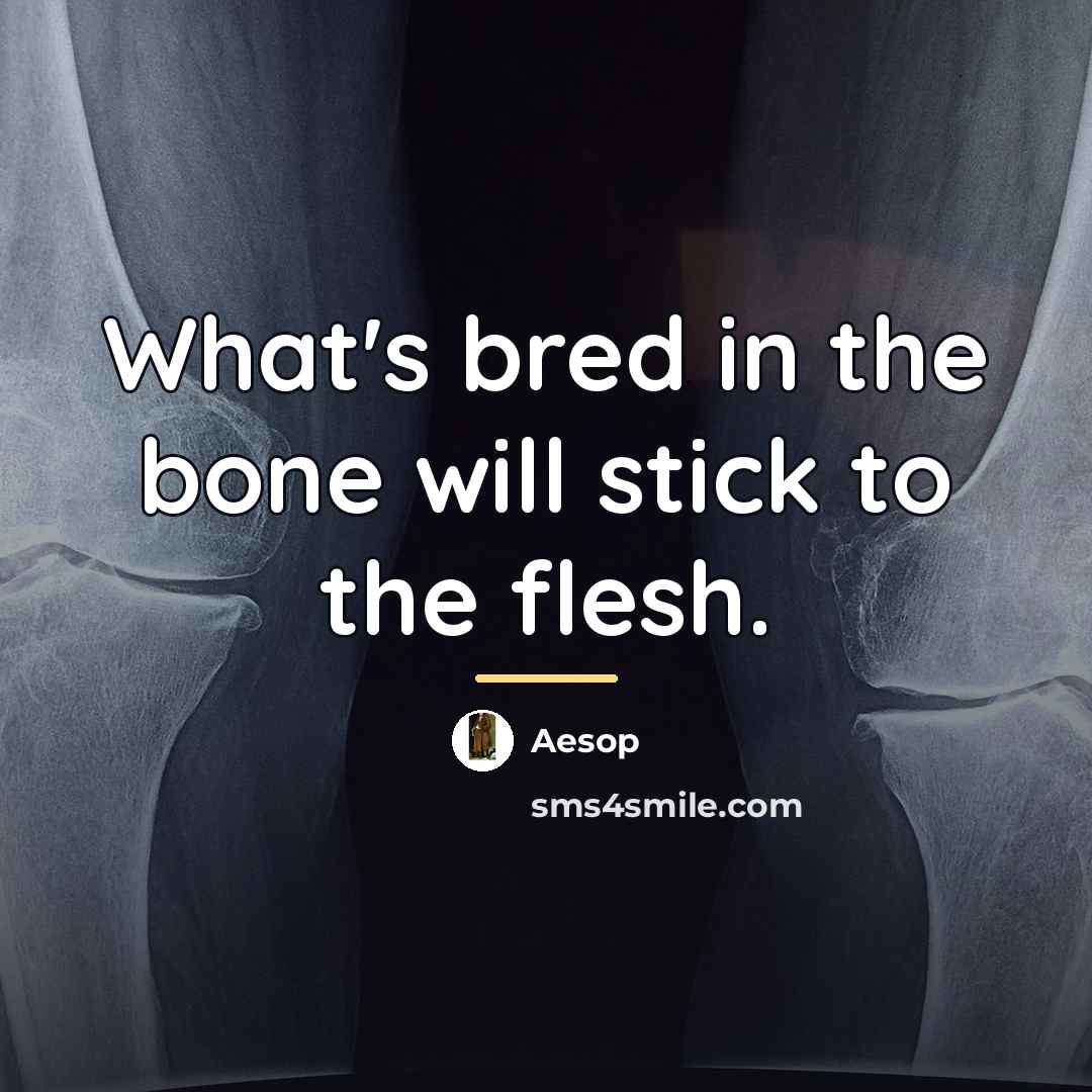 “What's bred in the bone will stick to the flesh.…” quote by Aesop