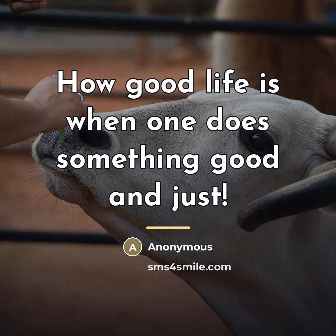 “How good life is when one does something good and…” quote by Anonymous