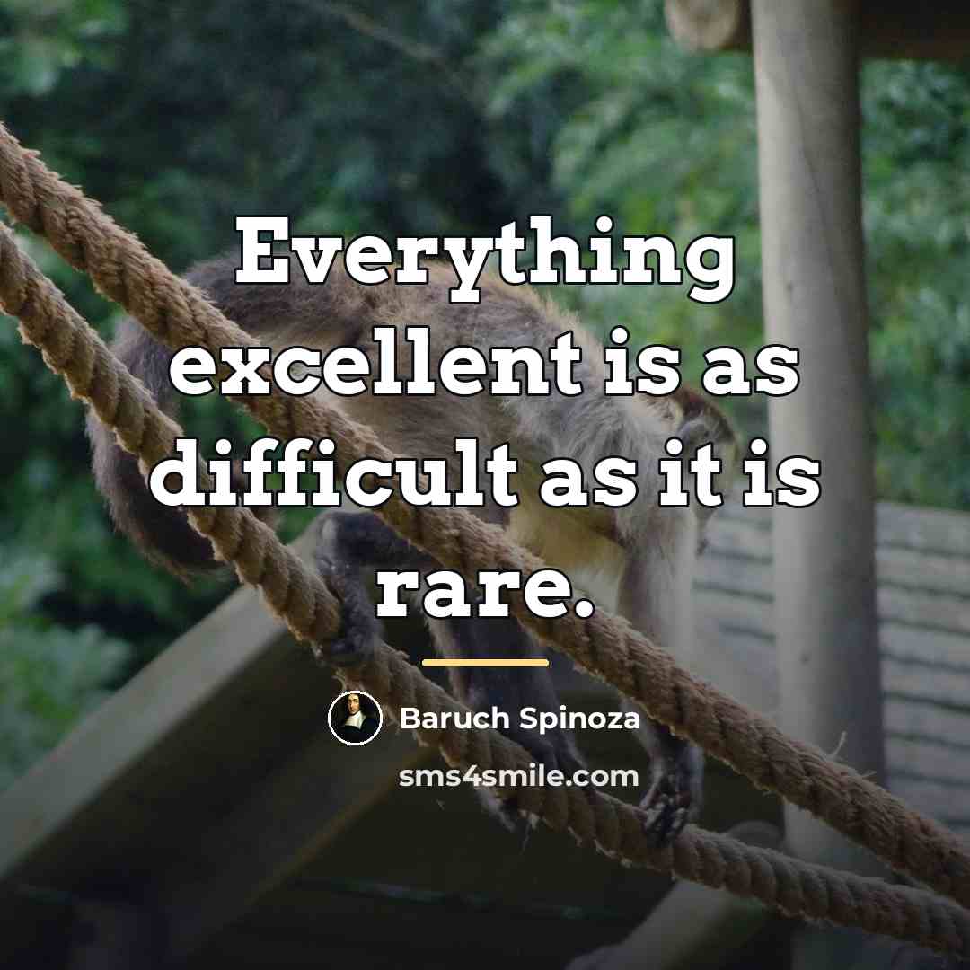 “Everything excellent is as difficult as it is rare.…” quote by Baruch Spinoza