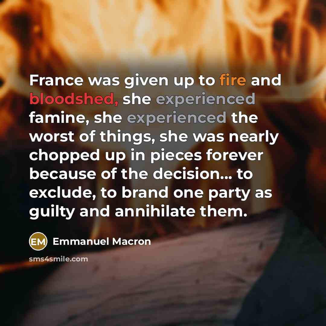 “France was given up to fire and bloodshed, she experienced…” quote by Emmanuel Macron