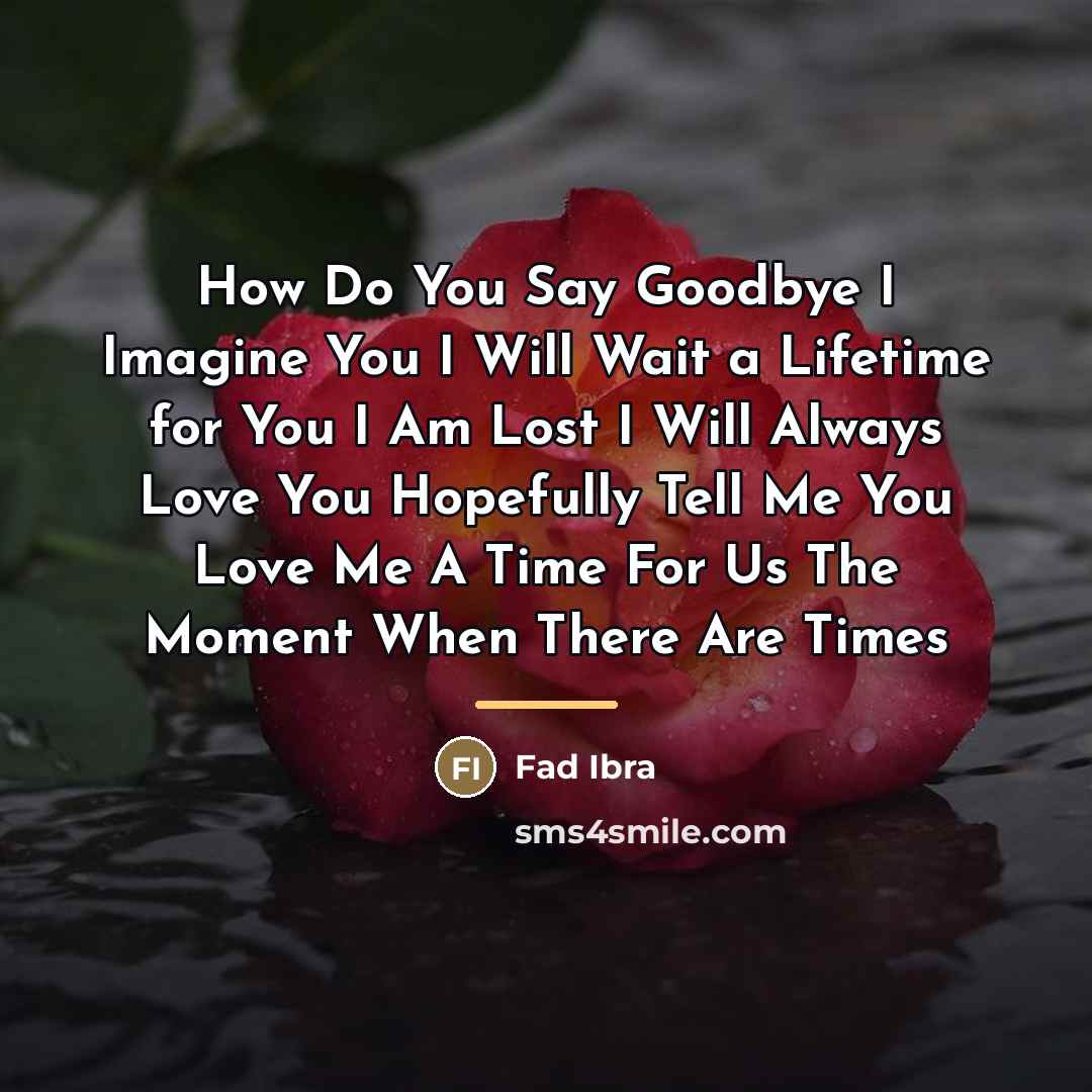 “How Do You Say Goodbye I Imagine You I Will…” quote by Fad Ibra