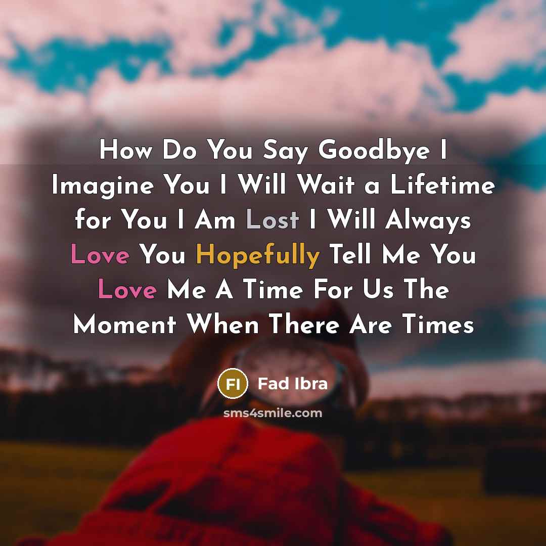 “How Do You Say Goodbye I Imagine You I Will Wait a Lifetime for You I Am Lost I Will Always Love You Hopefully Tell Me You Love Me A Time For Us The Moment When There Are Times” quote by Fad Ibra