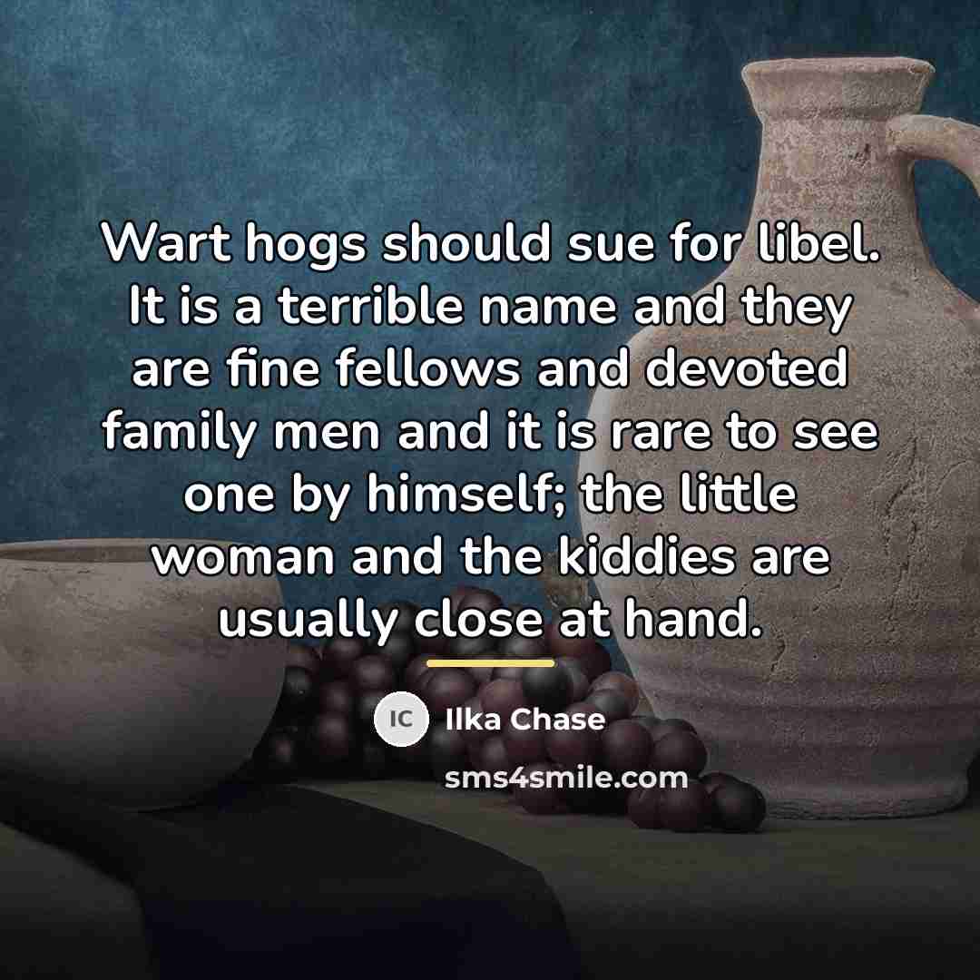 “Wart hogs should sue for libel. It is a terrible…” quote by Ilka Chase