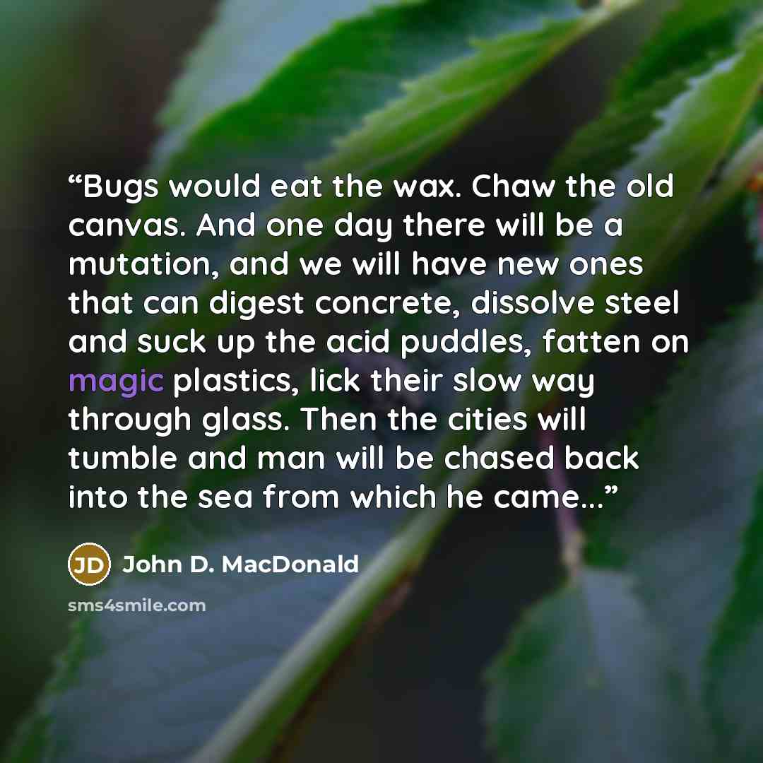 “Bugs would eat the wax. Chaw the old canvas. And one day there will be a mutation, and we will have new ones that can digest concrete, dissolve steel and suck up the acid puddles, fatten on magic plastics, lick their slow way through glass. Then the cities will tumble and man will be chased back…” quote by John D. MacDonald