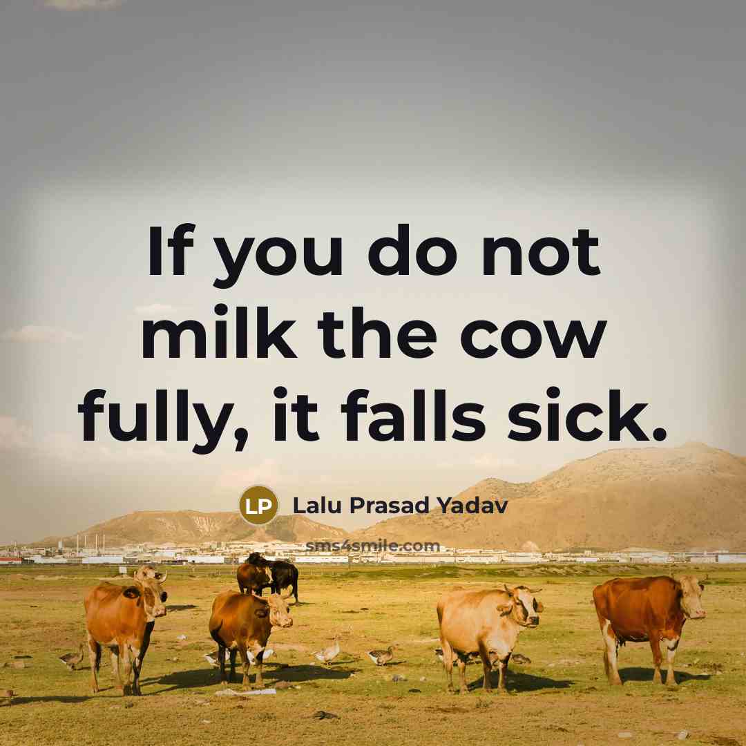 “If you do not milk the cow fully, it falls…” quote by Lalu Prasad Yadav