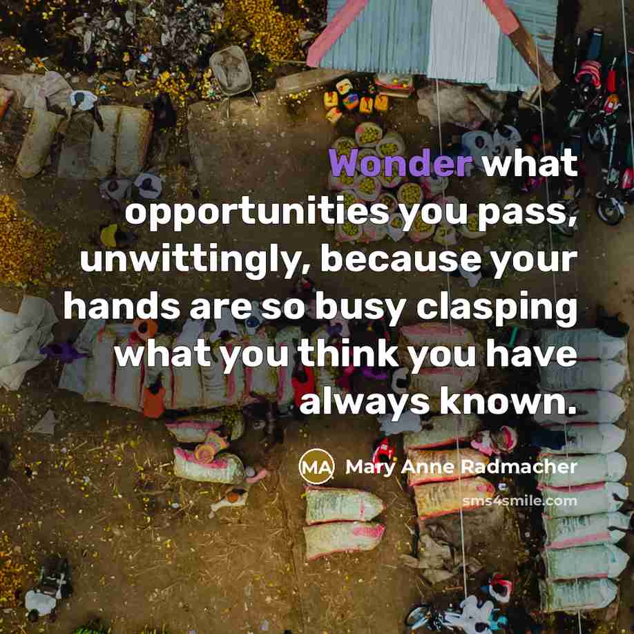 “Wonder what opportunities you pass, unwittingly, because your hands are…” quote by Mary Anne Radmacher
