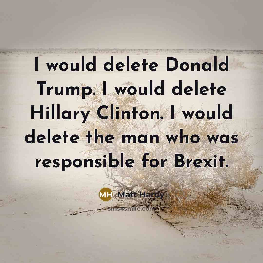 “I would delete Donald Trump. I would delete Hillary Clinton.…” quote by Matt Hardy