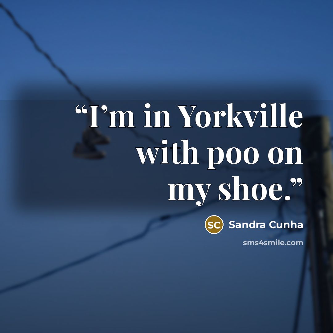 “I’m in Yorkville with poo on my shoe.” quote by Sandra Cunha