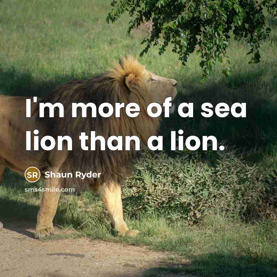 “I'm more of a sea lion than a lion.…” quote by Shaun Ryder