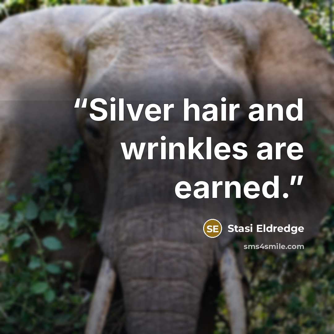 “Silver hair and wrinkles are earned.” quote by Stasi Eldredge