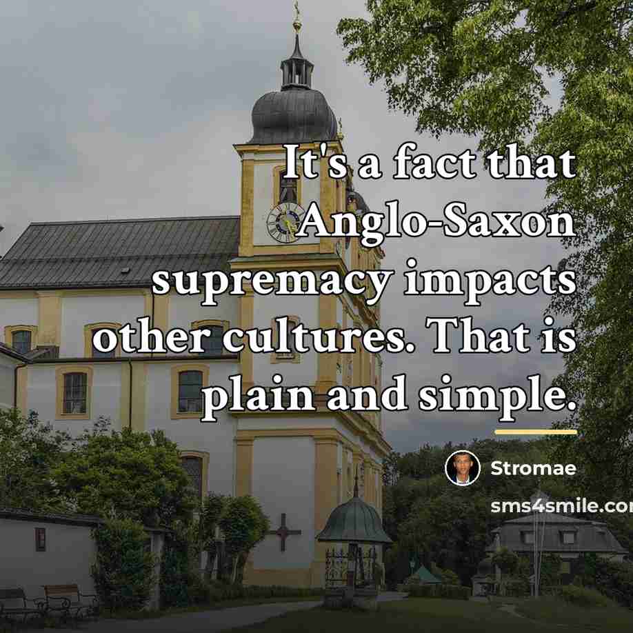 “It's a fact that Anglo-Saxon supremacy impacts other cultures. That…” quote by Stromae