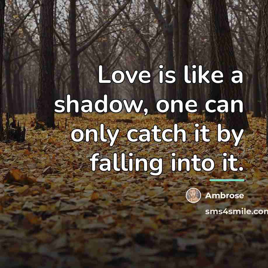 “Love is like a shadow, one can only catch it…” quote by Ambrose
