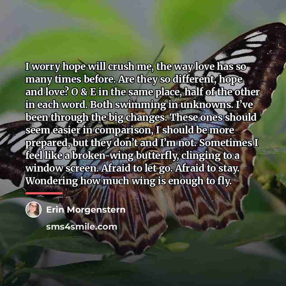 “I worry hope will crush me, the way love has…” quote by Erin Morgenstern