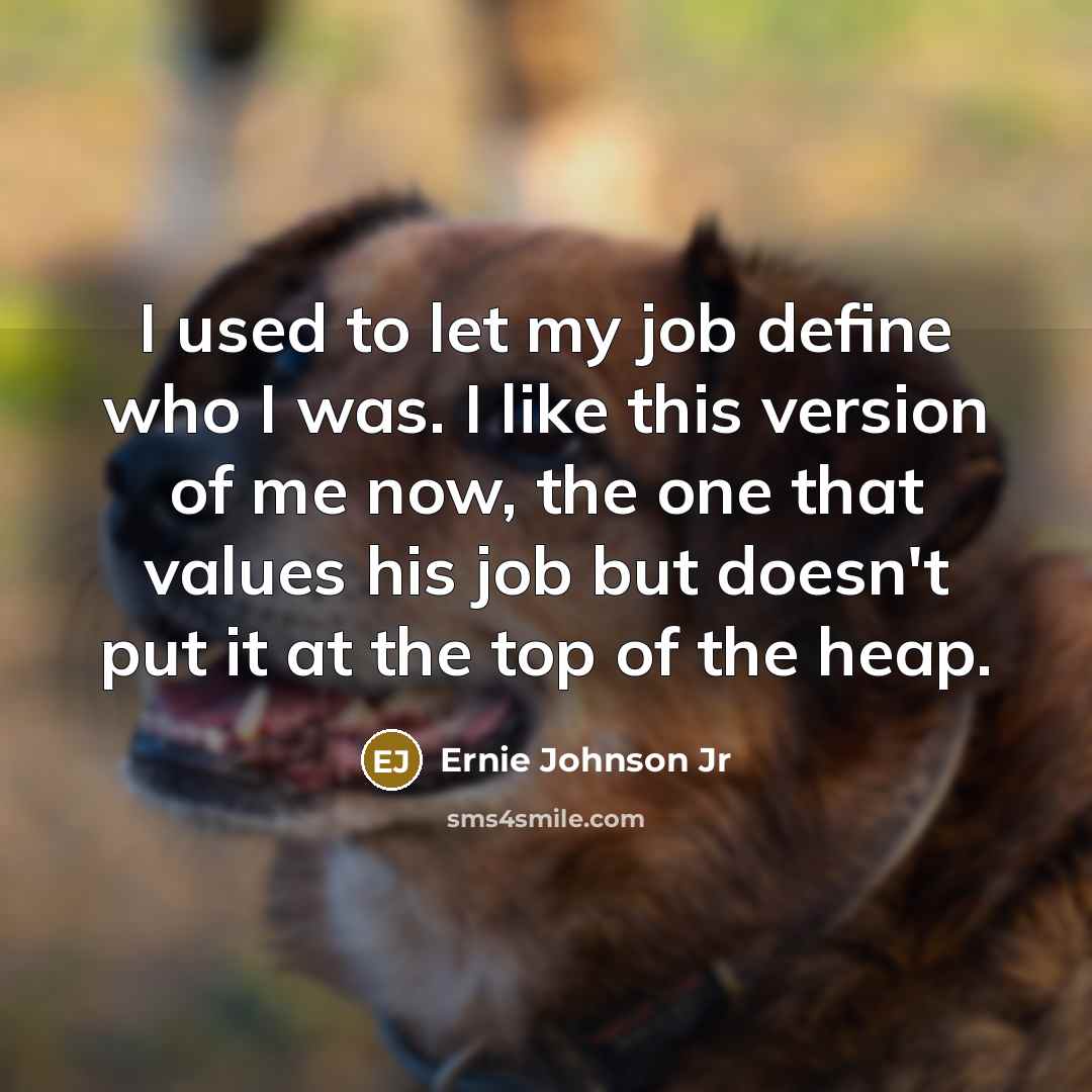 “I used to let my job define who I was.…” quote by Ernie Johnson Jr