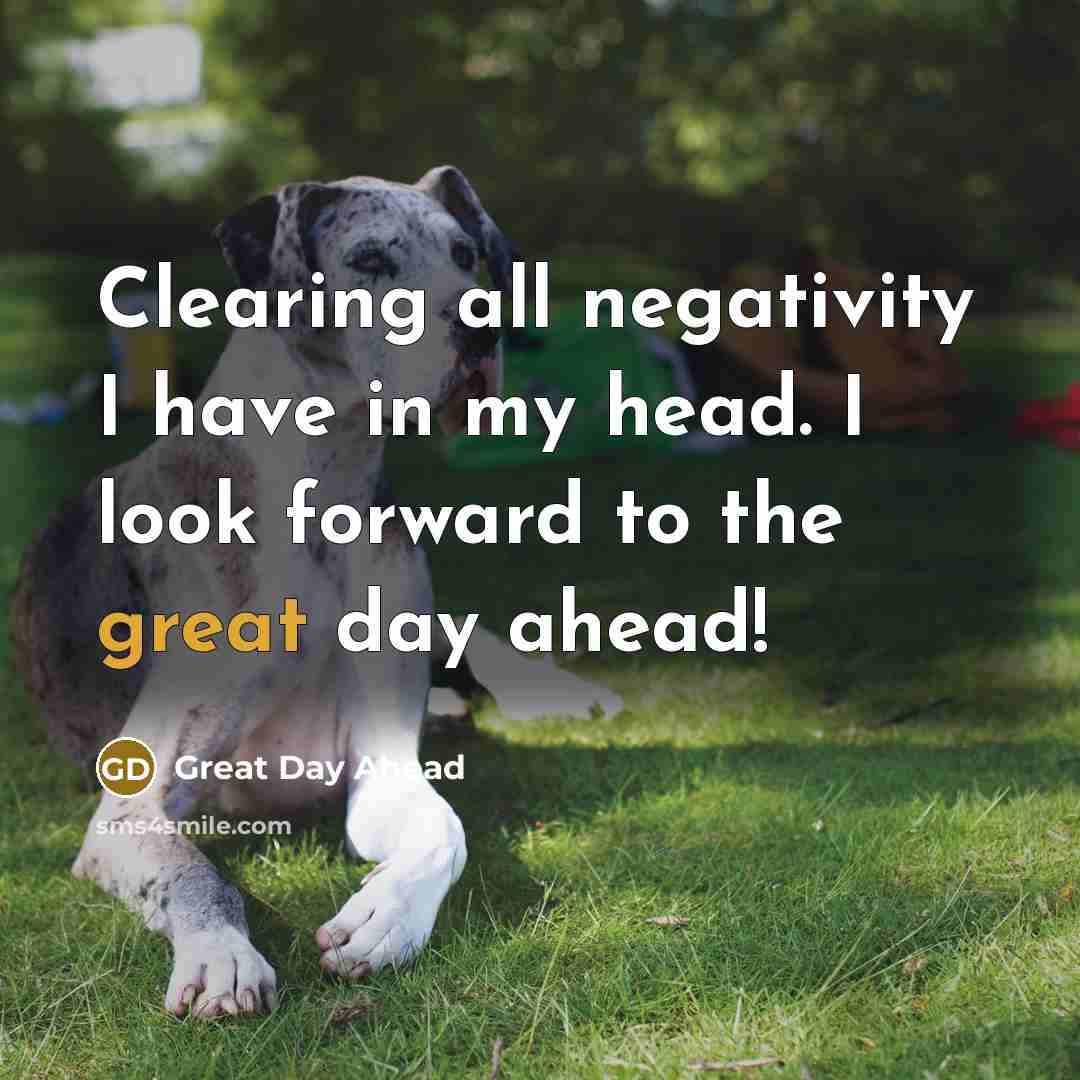 “Clearing all negativity I have in my head. I look forward to the great day ahead!” quote by Great Day Ahead