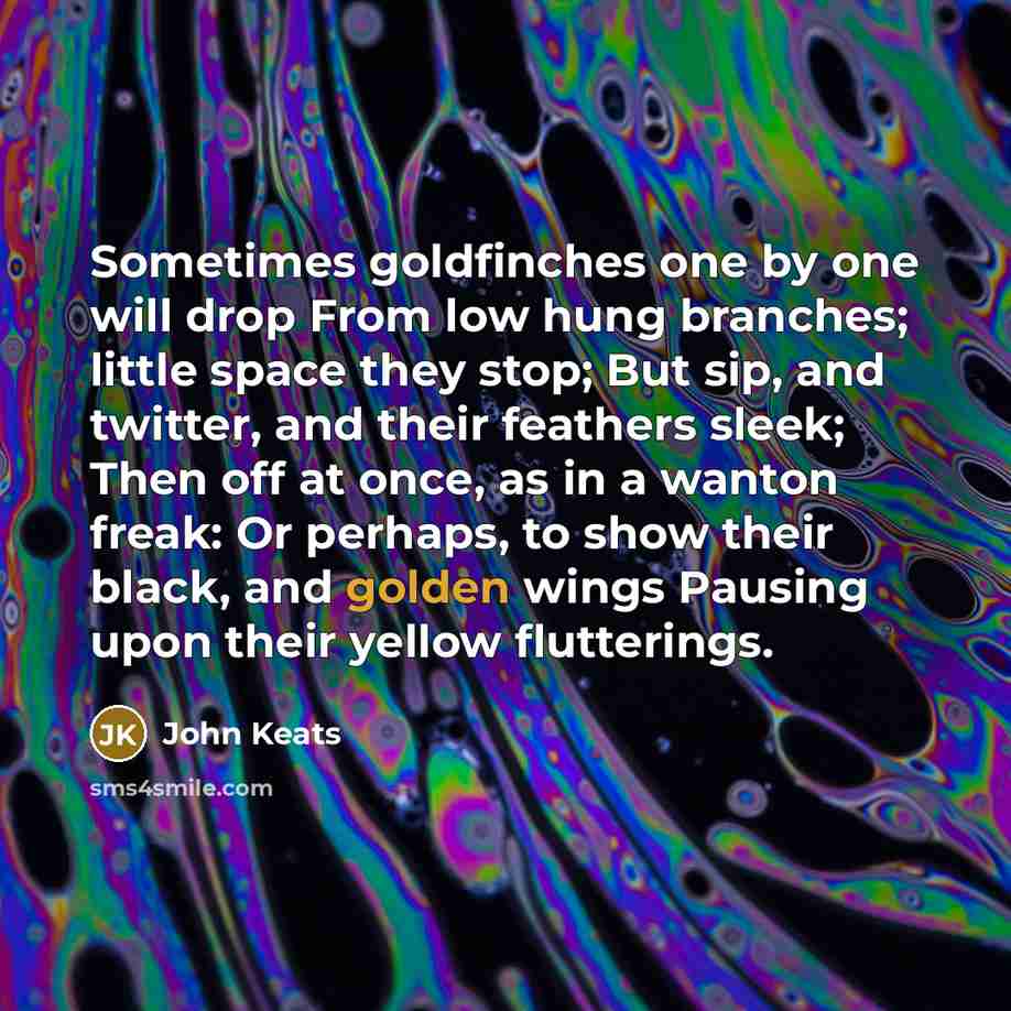 “Sometimes goldfinches one by one will drop From low hung…” quote by John Keats