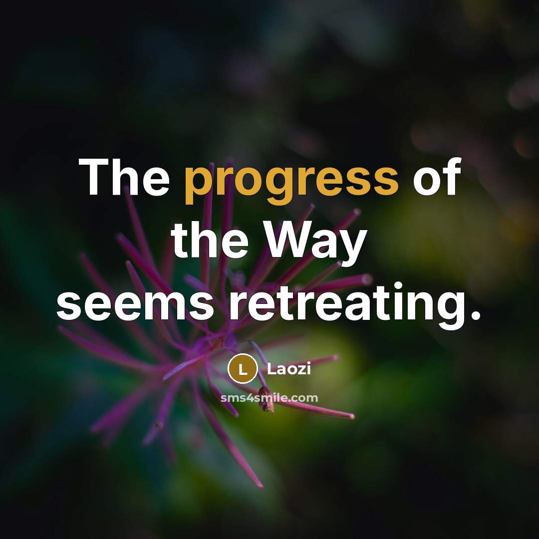 “The progress of the Way seems retreating.…” quote by Laozi