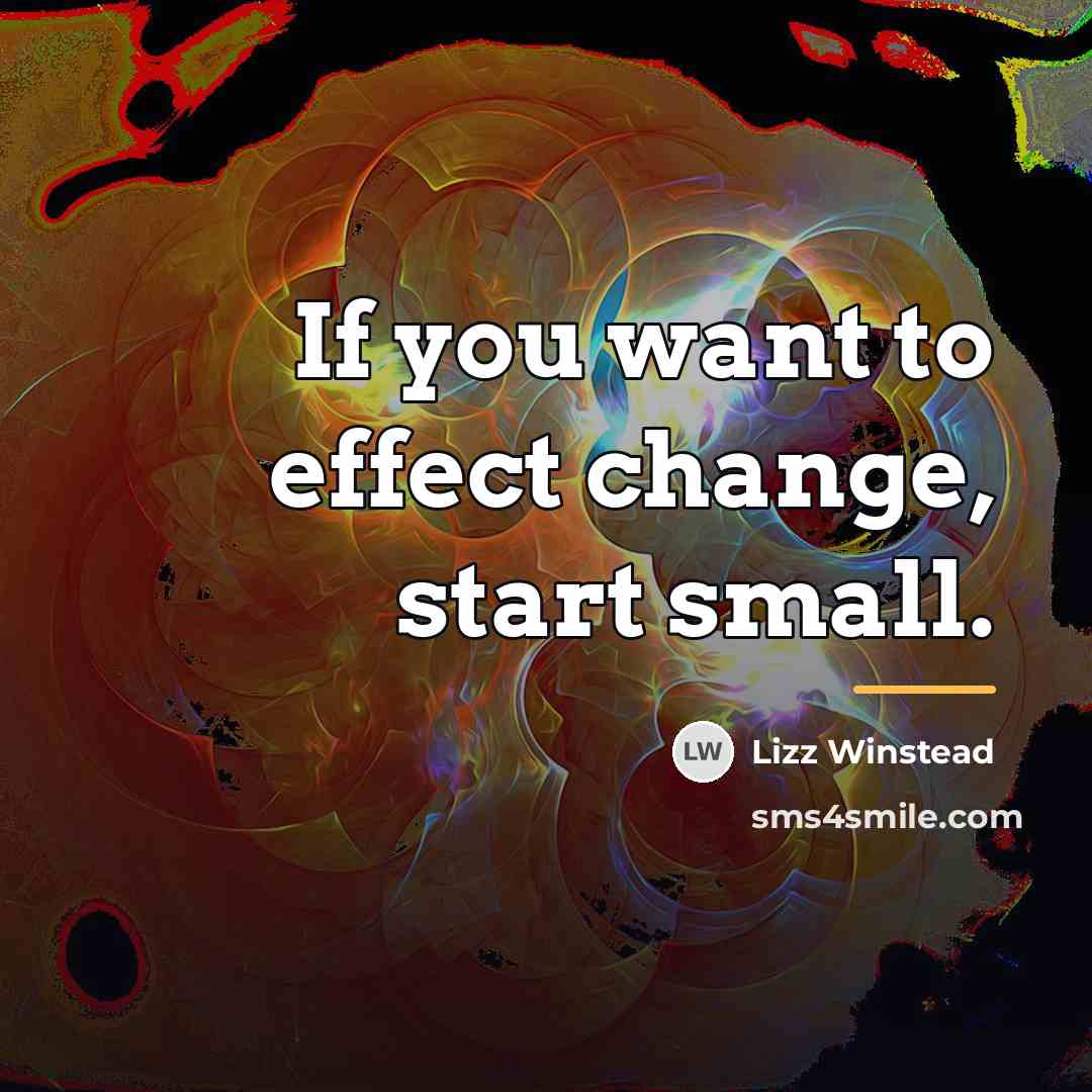 “If you want to effect change, start small.…” quote by Lizz Winstead