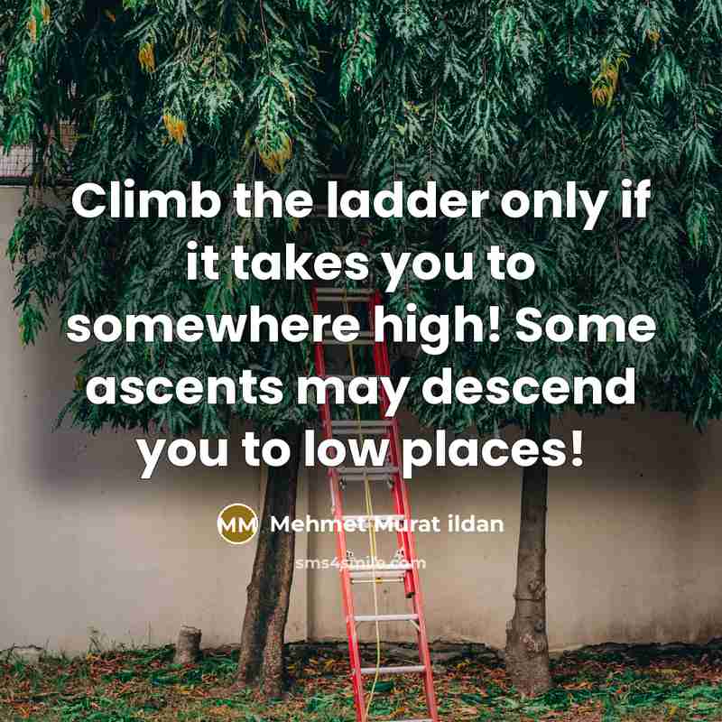 “Climb the ladder only if it takes you to somewhere…” quote by Mehmet Murat Ildan