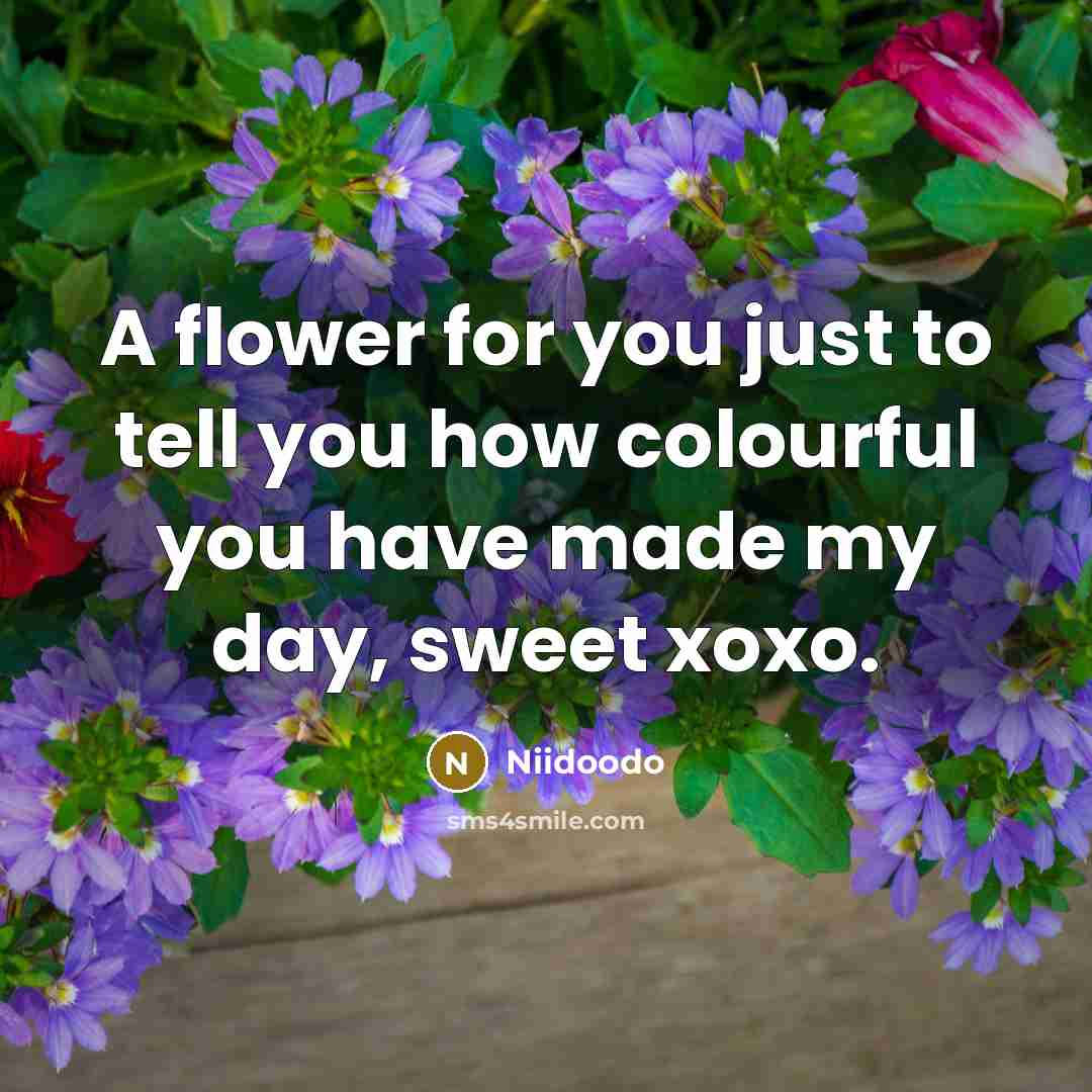 “A flower for you just to tell you how colourful…” quote by Niidoodo